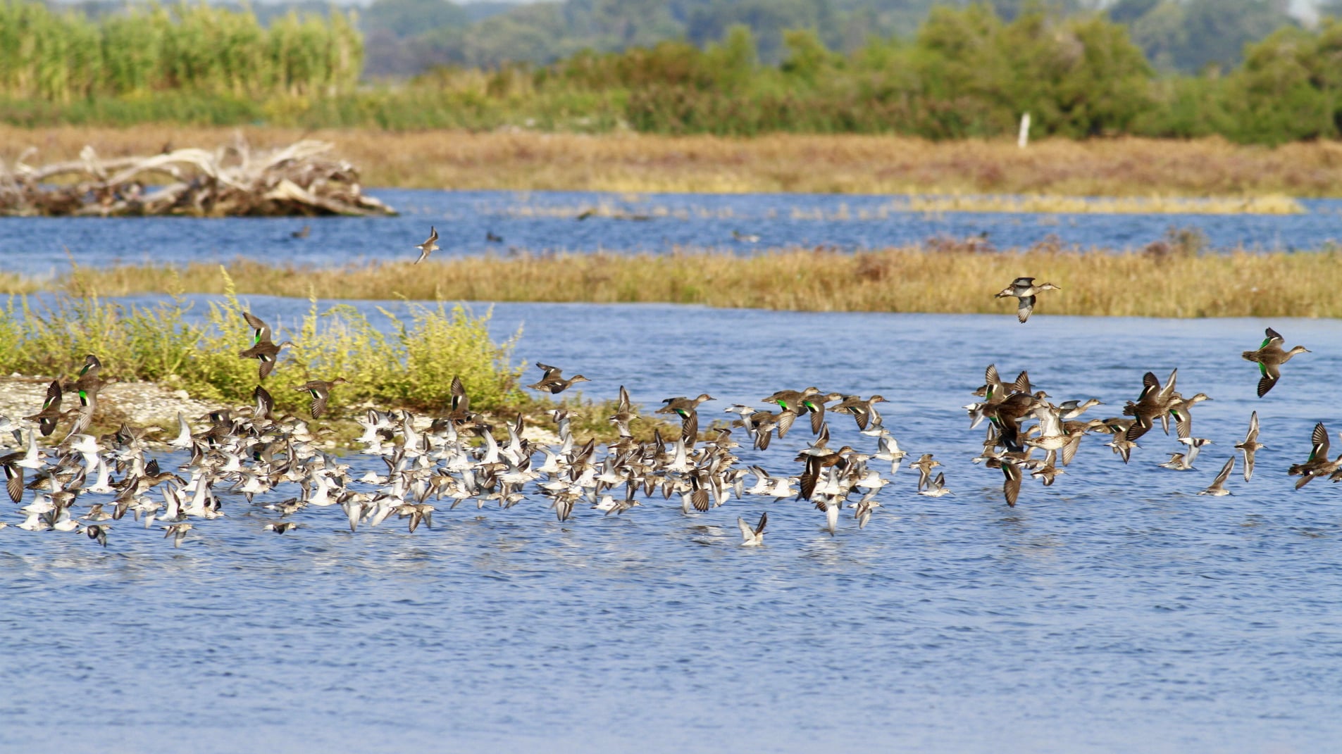 Progetto CONA: una partnership transfrontaliera per la tutela dell’ambiente